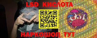 Альфа ПВП Ставрополь