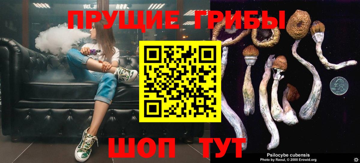 Галлюциногенные грибы прущие грибы Новокубанск
