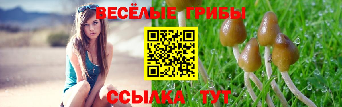 Новокубанск  Псилоцибиновые грибы мухоморы  Вход с VPN  купить наркоту  Псилоцибиновые грибы MAGIC MUSHROOMS 